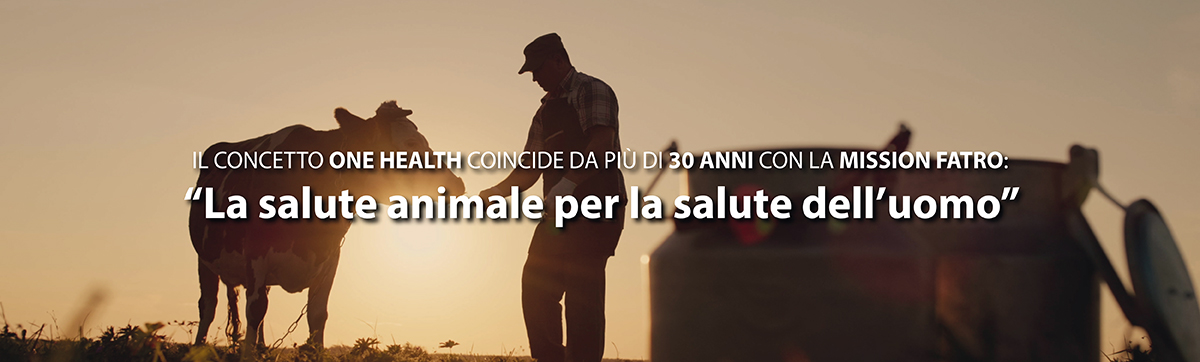 One health Eco health